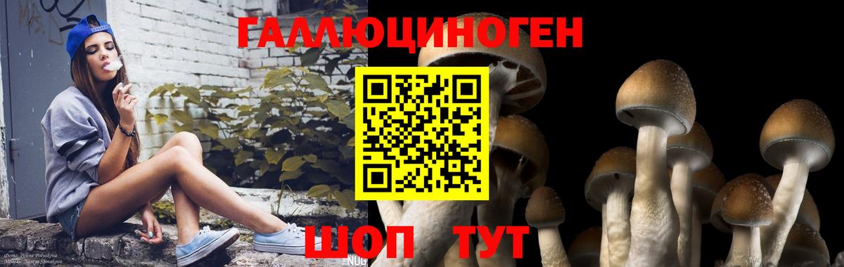 Псилоцибиновые грибы ЛСД Солнечногорск